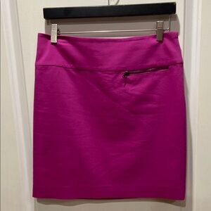 Ann Taylor Mini Pencil Skirt US4